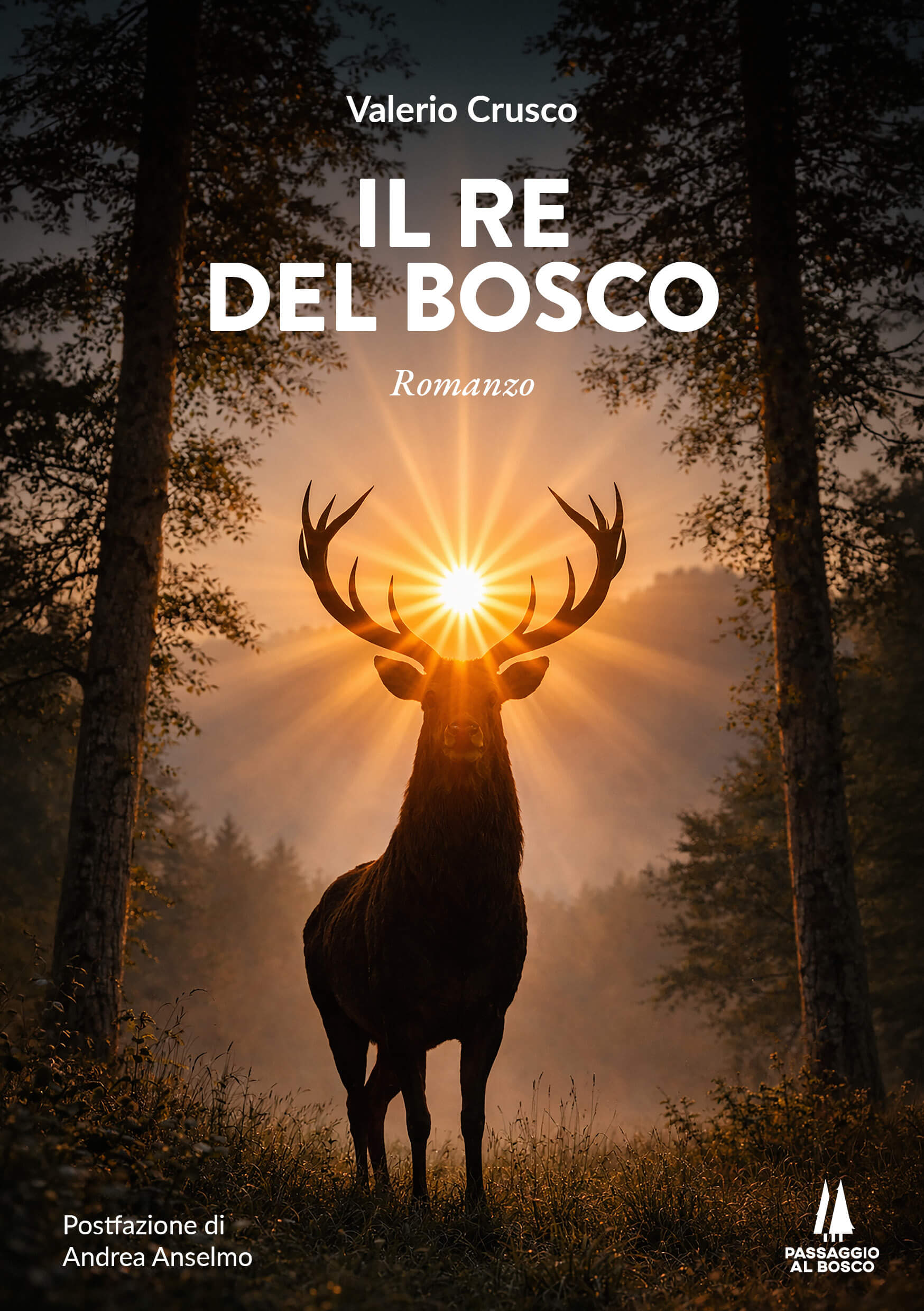 IL RE DEL BOSCO - copertina IL RE DEL BOSCO - immagine 1